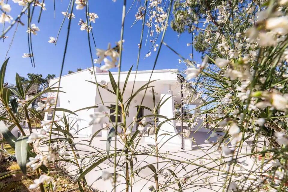 Casina Anna Maria Vila Francavilla Fontana Exterior foto